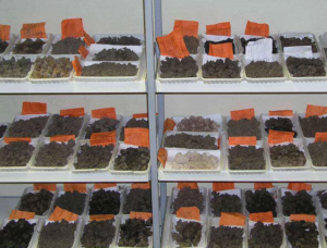 🌾 Почвоведческая экспертиза с позиции загрязнения
